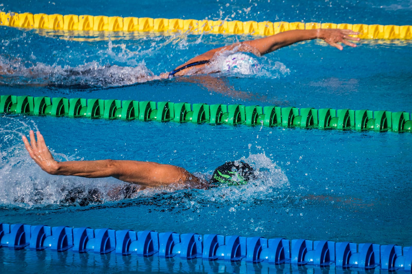 983daf06 a430 4501 aed6 56f158da41f1